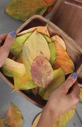 quadratische servierplatte 20cm